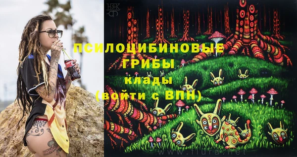 не бодяженный Надым