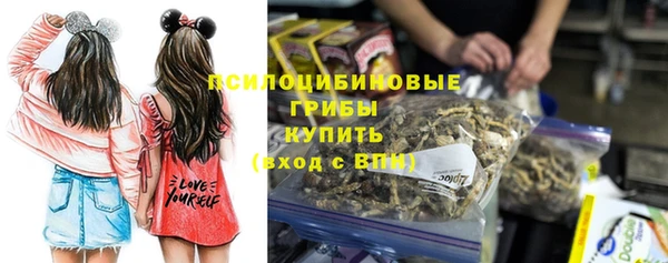 не бодяженный Надым