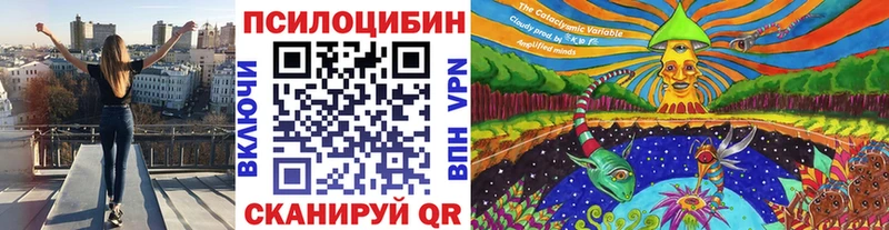 Купить закладки  Спасск  Псилоцибиновые грибы Cubensis 
